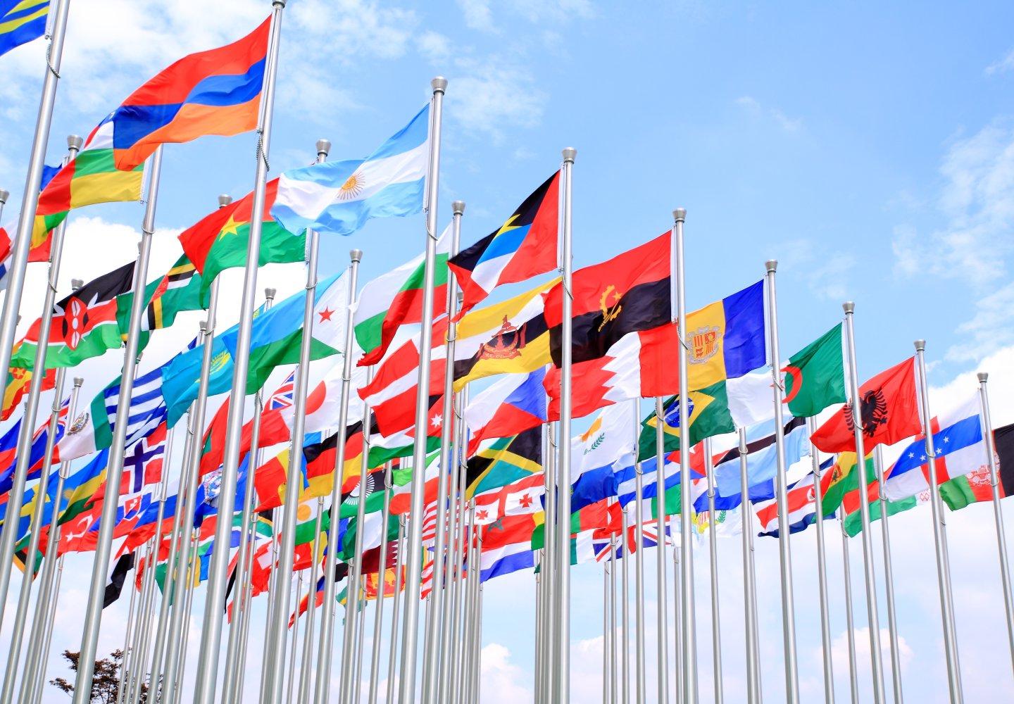 United Nations ODU Flags